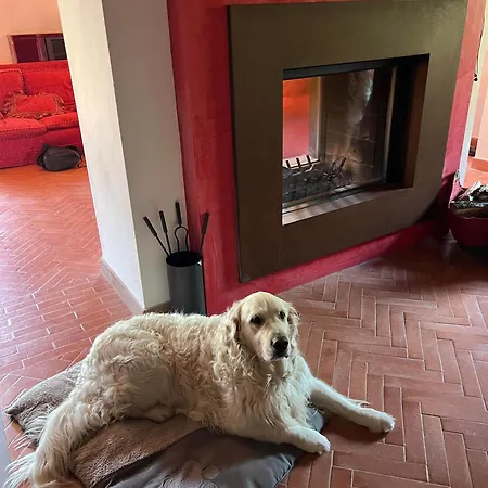 Casa Boru - A Beautiful Fully Restored Spacious House With Fantastic Views *